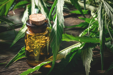 Cannabis essential oil in the vial with a green leaf on a wooden board background. Herbal medicine...
