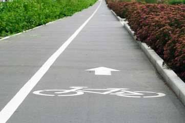 Fototapeta premium Bike path in the Park, Kazan, Russia.