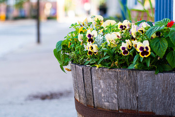 Flowers In Wooden Barrel Planter With Rusty Metal On Sidewalk Outside Of Store.