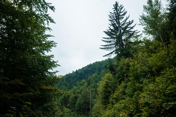 Mountain, beautiful landscape. Ukraine, the Carpathian Mountains. Concept of travel, tourism, holidays, vacation
