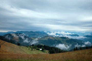 Obraz premium Mountain, beautiful landscape. Ukraine, the Carpathian Mountains. Concept of travel, tourism, holidays, vacation