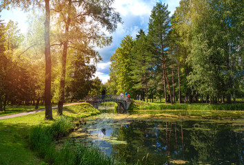 Fototapeta na wymiar Summer landscape of a beautiful Park with a bridge and walking people. Gatchina