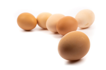 chicken eggs on white background