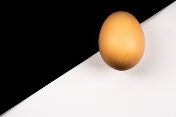 chicken egg on black white background