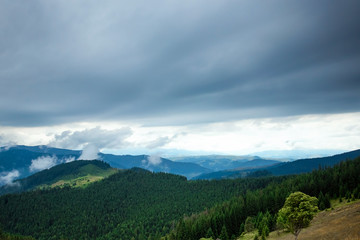 Naklejka premium Mountain, beautiful landscape. Ukraine, the Carpathian Mountains. Concept of travel, tourism, holidays, vacation