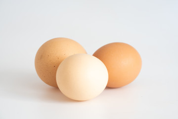 chicken eggs on white background
