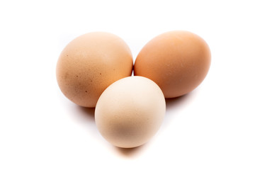 chicken eggs on white background