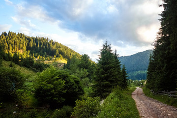 Mountain, beautiful summer landscape, road in the mountains, sky, summer. Ukraine, the Carpathian Mountains. Concept of travel, tourism, holidays, vacation