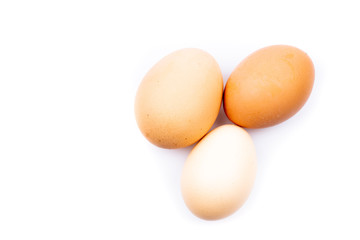 chicken eggs on white background