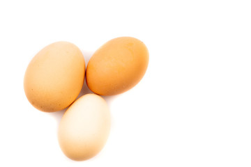 chicken eggs on white background
