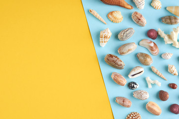 Summer vacation composition idea, seashells on blue and yellow background