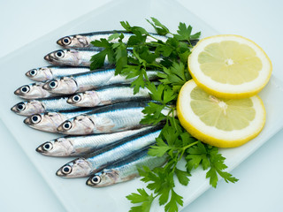 Fresh anchovies in a plate accompanied by lemon and parsley