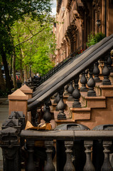 Fototapeta na wymiar A perspective of Brooklyn Heigts stoop stairs