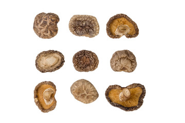 dried Shitake mushroom isolated on white background. food ingredient.