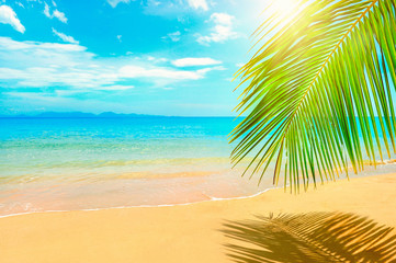 Fototapeta na wymiar Beautiful sunny beach. View of nice tropical beach with palms around. Holiday and Vacation concept
