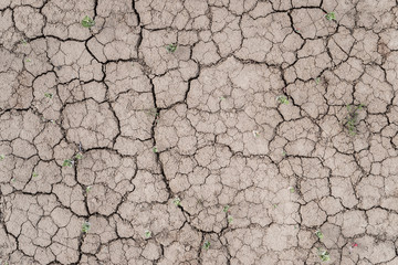 The texture of the dried cracked earth.