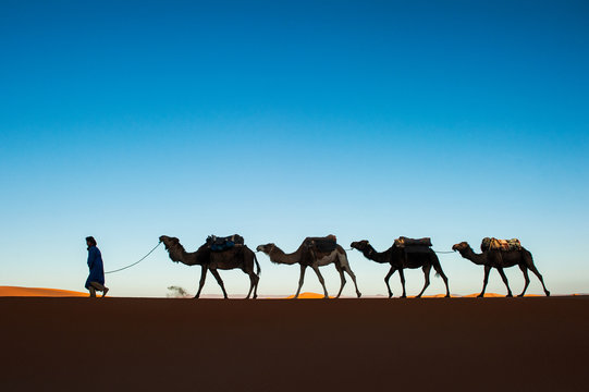 Kamelkarawane Bilder – Durchsuchen 23,780 Archivfotos, Vektorgrafiken ...