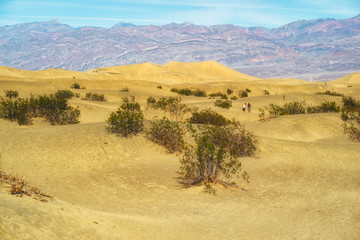 Mesquite Flat Sand Dunes. Death Valley National Park, California