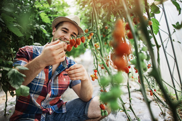 Happy and smiling young adult man working in greenhouse.