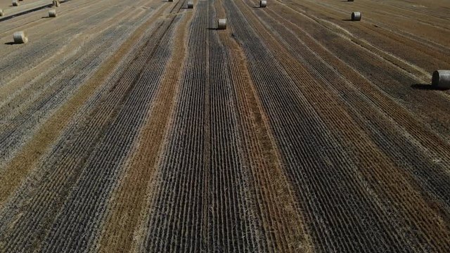 Nice aerial view of haystack on the field. Fly above the field with corn