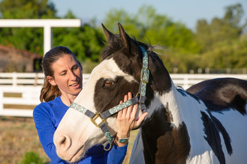 Equine Myofascial Release Technique on Face and Jaw