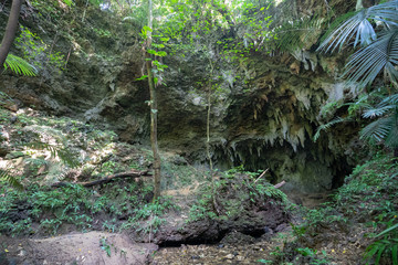 西表島の洞窟