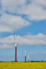 Wind turbines in yellow rapeseed field against a blue sky in summer. Clean energy background with copy space. Vertical shot.