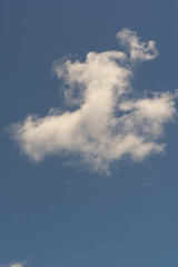 field and blue sky white clouds