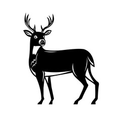 Retro woodcut style illustration of a white-tailed buck deer, whitetail or Virginia deer, a medium-sized deer native to North and South America side view on isolated background done black and white.
