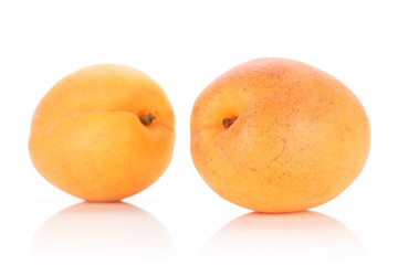 Group of two whole fresh deep orange apricot isolated on white background