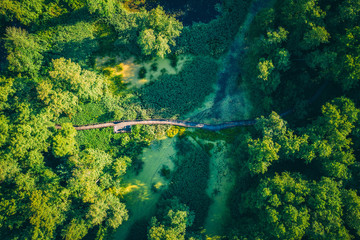 Aerial top view of wooden footbridge pathway over marshy or swampy river with vegetation thickets...