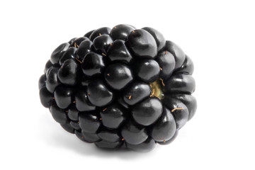 Blackberry isolated on white background
