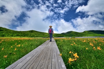 青空と花の高原を歩くハイカー