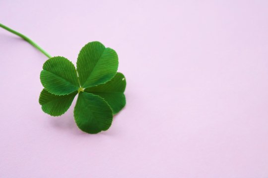 2 Migliori いつつば Immagini Foto Stock E Vettoriali Adobe Stock 2 Migliori いつつば Immagini Foto Stock E Vettoriali Adobe Stock