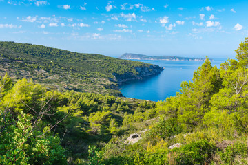 Landscape view of a beautiful blue bay viewed over green mediterranean vegetation and vineyards with an island in the background and sailing boats in summer, Vis island, Croatia, Europe