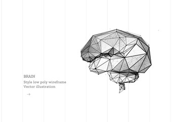 Brain. Low poly wireframe style.Artificial Intelligence concept. Technology in medicine. Abstract illustration isolated on white background. Particles are connected in a geometric silhouette