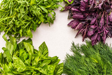 Fresh assorted herbs: basil, arugula, dill.