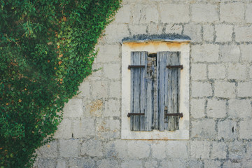 Fototapeta na wymiar Front view of a old mediterranean stone house with dilapidated blue wooden shutters on a window overgrown with vegetation. Vis island, Croatia, in summer