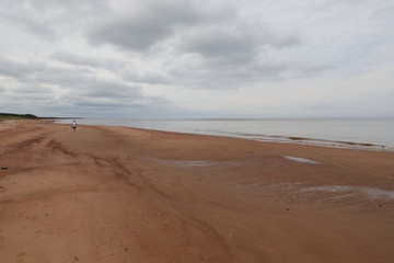 Fototapeta na wymiar sand dunes in the beach