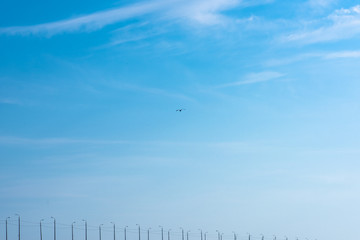 birds in the sky