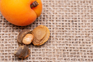 Fresh Organic Apricots and Apricot Kernels (the seed of an apricot, often called a 