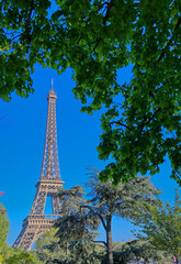 A view of the Eiffel Tower in Paris, France.