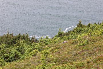 view of the coastline