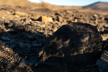 Another view of the Total Solar Eclipse 2019 in Atacama Desert, Chile, mini solar eclipses in rock shadows. We can see how the sun pass through the leafs and make shadows with small Solar Eclipses