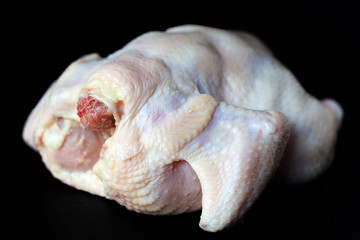 chicken broiler on a dark background, fresh raw chicken carcass 