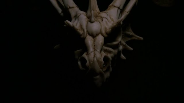Product shoot of fantasy bone dragon skull