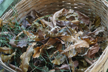 Dry leaves in a beautiful bamboo basket_3