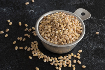 Whole Grain Milling Barley Spilled from a Measuring Cup