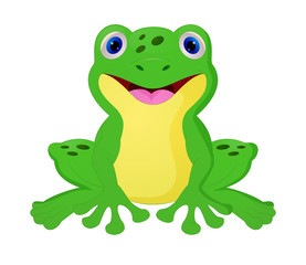 Cute frog cartoon isolated on white background