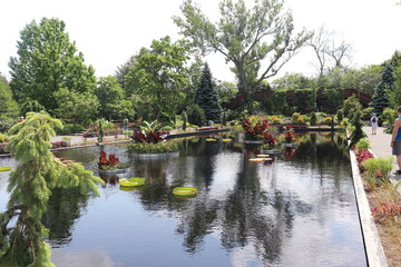 Fototapeta na wymiar Botanical Garden with Pond